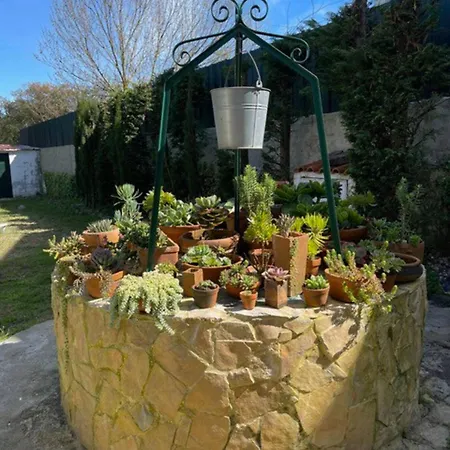 Alloggio in famiglia A Casa Do