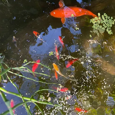 Alloggio in famiglia A Casa Do *